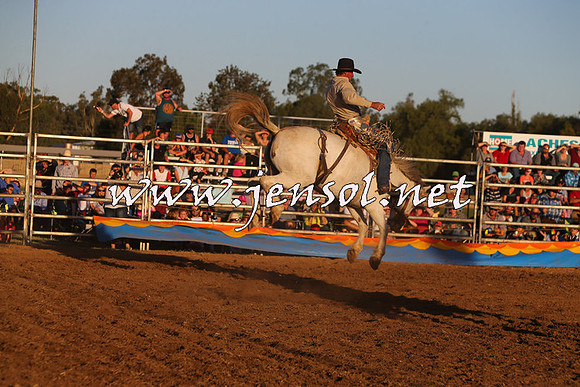 ForbesRodeo2015_1202