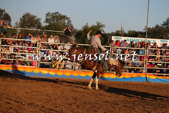 ForbesRodeo2015_1255