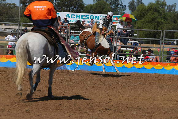 ForbesRodeo2015_0755