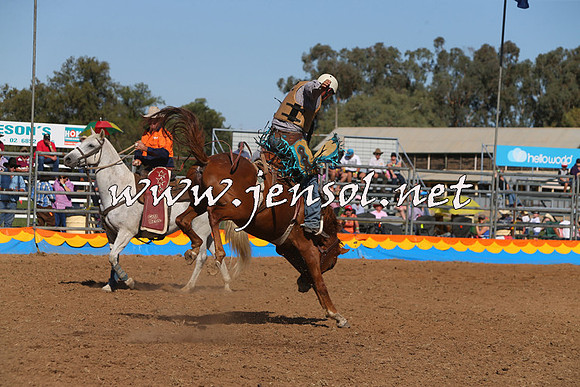 ForbesRodeo2015_1040