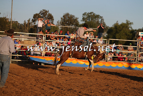 ForbesRodeo2015_1264