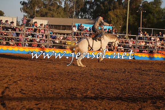ForbesRodeo2015_1237