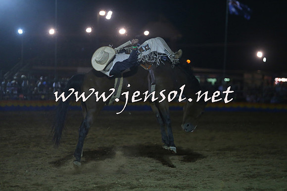 ForbesRodeo2015_2062