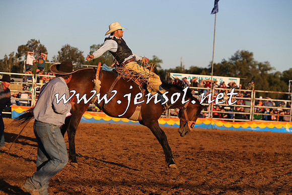 ForbesRodeo2015_1351