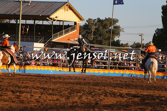 ForbesRodeo2015_1367