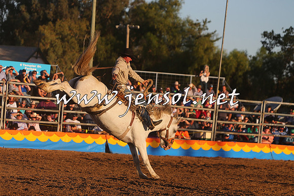 ForbesRodeo2015_1236
