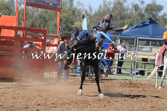 ForbesRodeo2015_0690