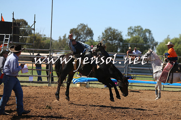 ForbesRodeo2015_0022