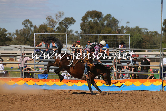 ForbesRodeo2015_0807