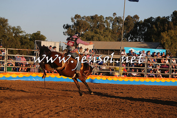 ForbesRodeo2015_1174