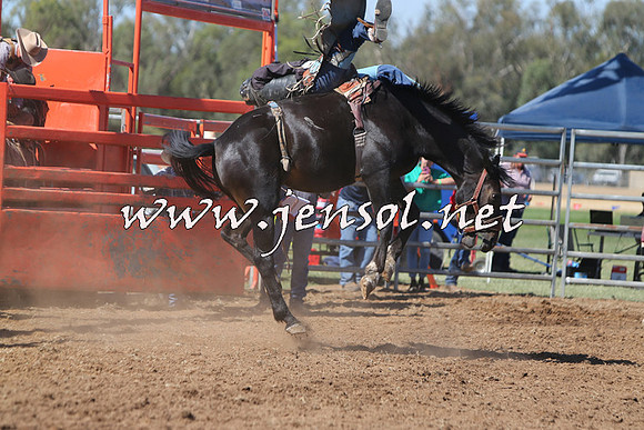 ForbesRodeo2015_0706