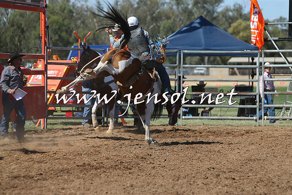 ForbesRodeo2015_0737