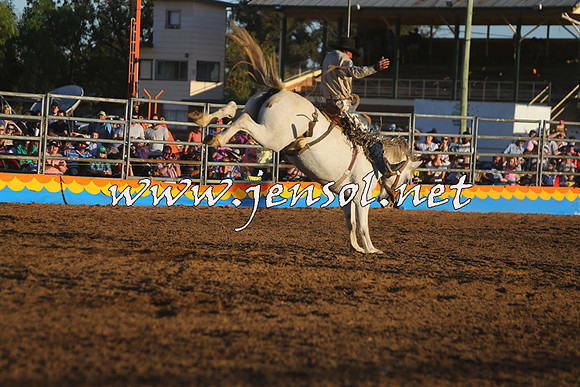 ForbesRodeo2015_1250