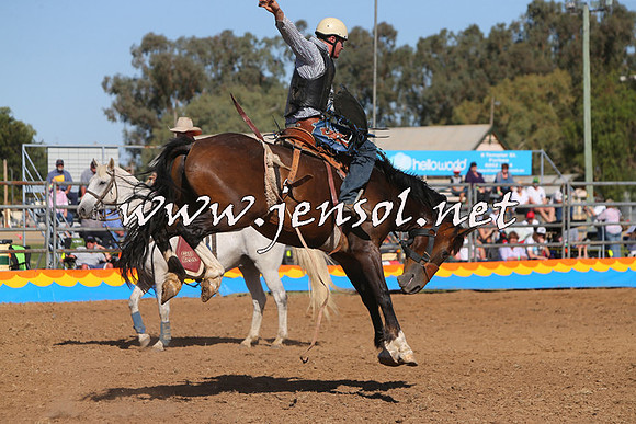 ForbesRodeo2015_1008