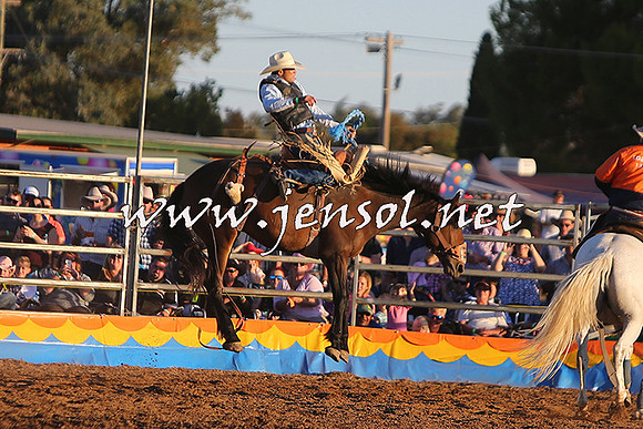 ForbesRodeo2015_1371