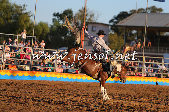 ForbesRodeo2015_1287