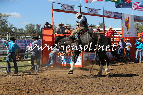 ForbesRodeo2015_0865