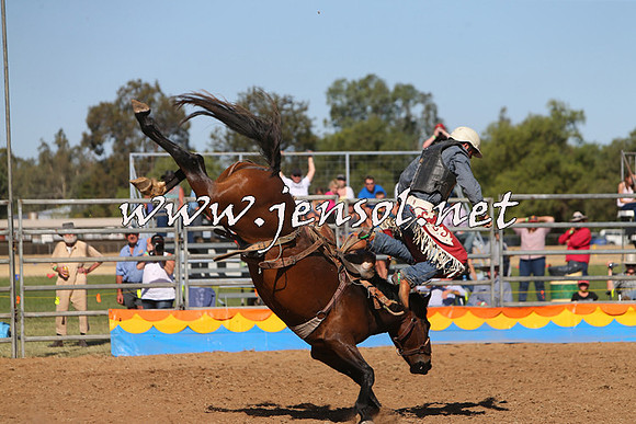 ForbesRodeo2015_0975