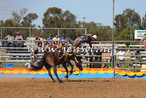 ForbesRodeo2015_0808