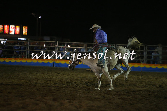 ForbesRodeo2015_2234