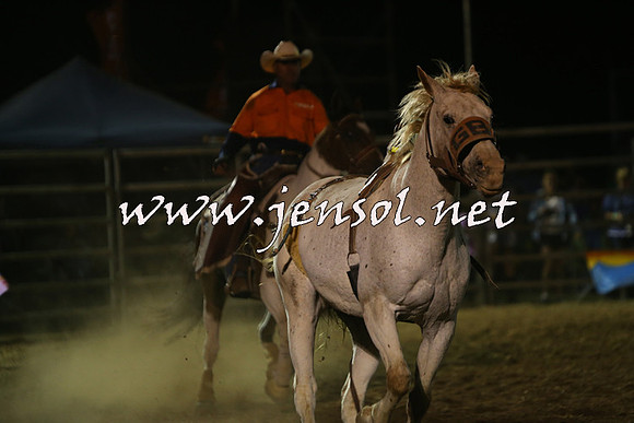 ForbesRodeo2015_1997