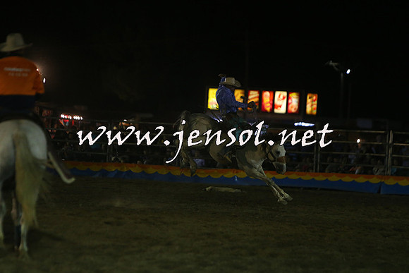 ForbesRodeo2015_2208