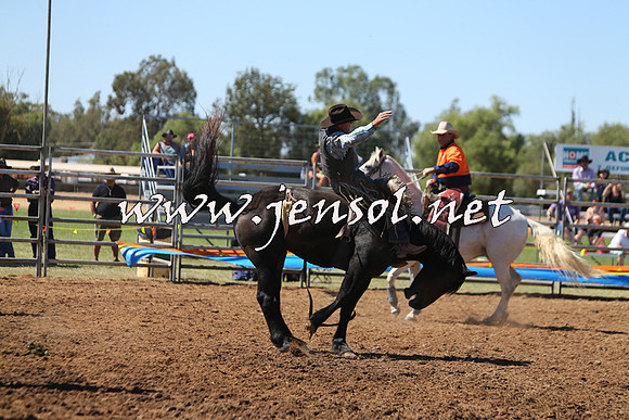 ForbesRodeo2015_0024