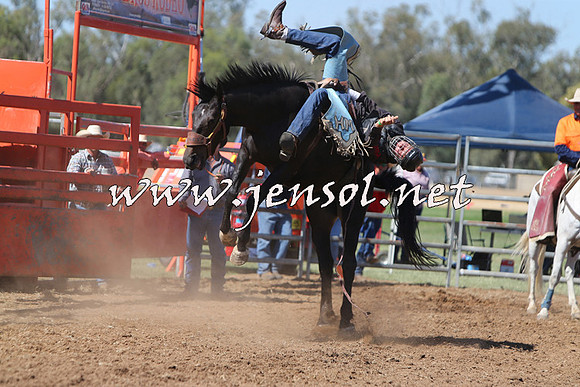 ForbesRodeo2015_0696