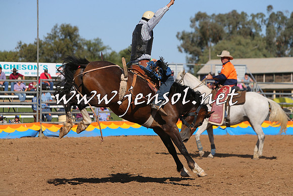 ForbesRodeo2015_1011