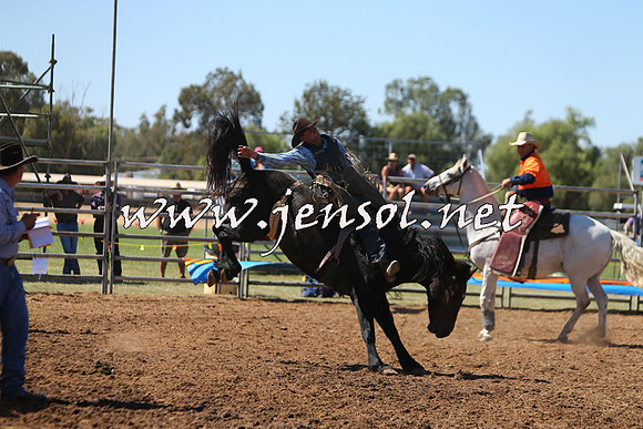 ForbesRodeo2015_0023