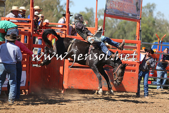 ForbesRodeo2015_0667