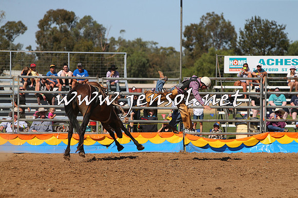 ForbesRodeo2015_0817