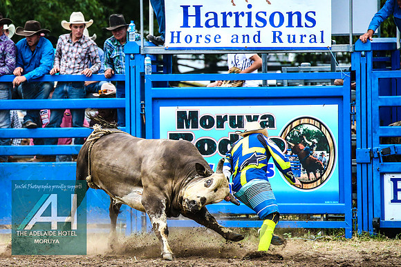 MoruyaRodeo2018_3492