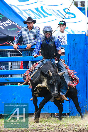 MoruyaRodeo2018_3547