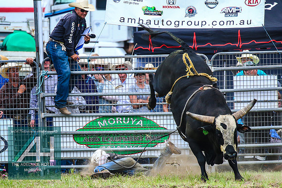MoruyaRodeo2018_2674