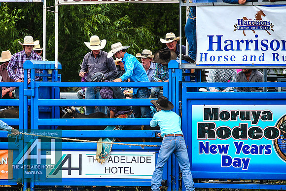 MoruyaRodeo2018_2287