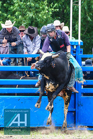 MoruyaRodeo2018_2292