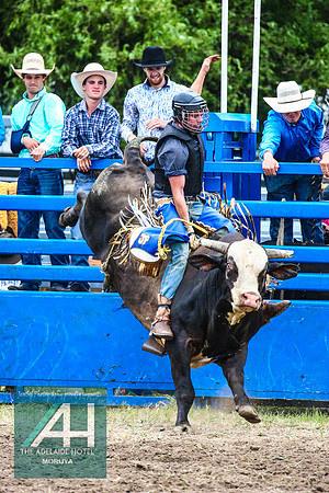 MoruyaRodeo2018_3582