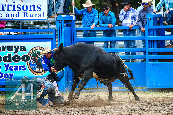 MoruyaRodeo2018_2510
