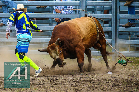 MoruyaRodeo2018_2534