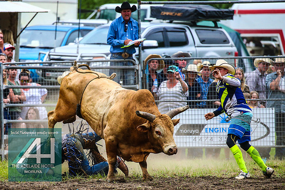 MoruyaRodeo2018_3695