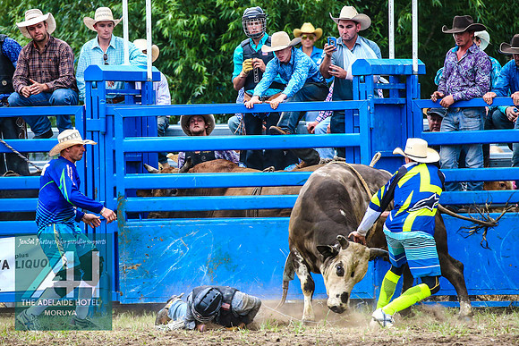 MoruyaRodeo2018_3482