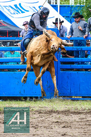 MoruyaRodeo2018_2591