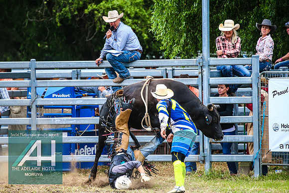 MoruyaRodeo2018_3611