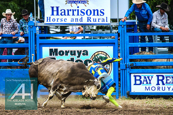 MoruyaRodeo2018_3490