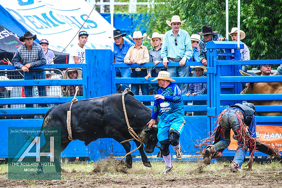 MoruyaRodeo2018_3558
