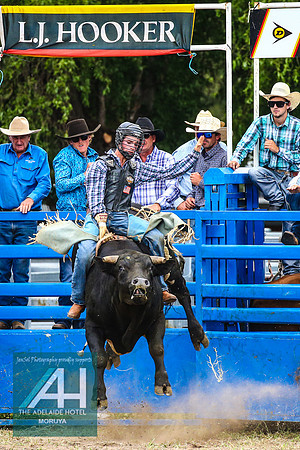 MoruyaRodeo2018_2457