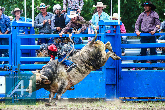 MoruyaRodeo2018_3616