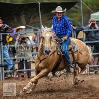 TaralgaRodeo2014_0114