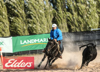 GoulburnCampdraft2018_9277